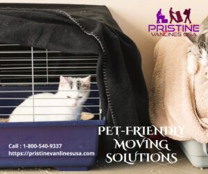 Pet-Friendly Moving Solutions